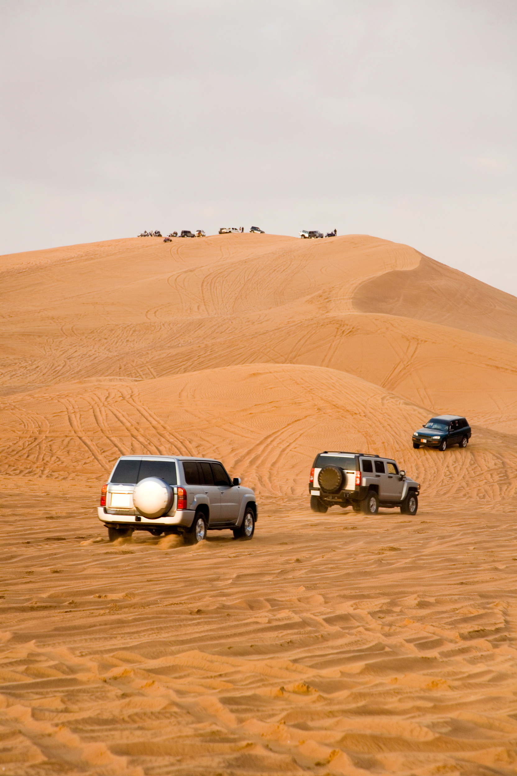 Desert Safari Race Landcruiser